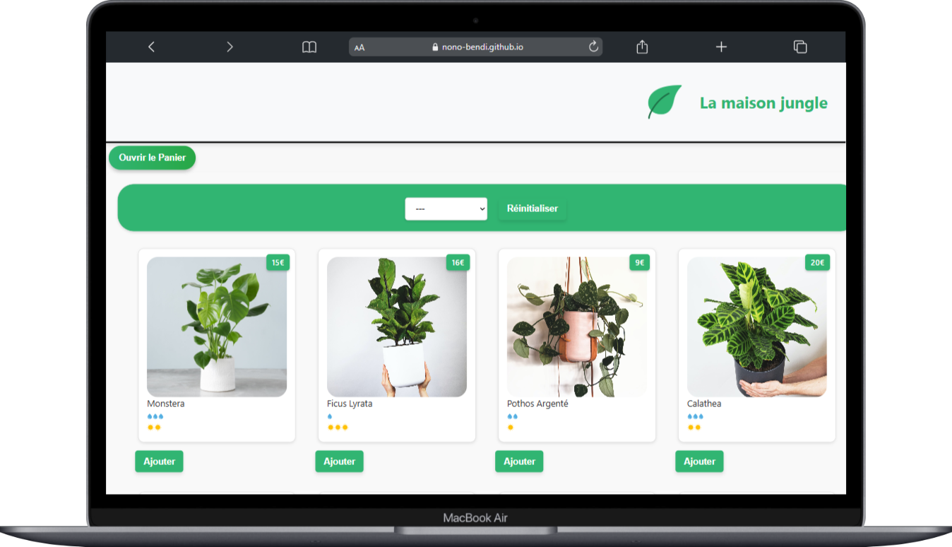 Projet 4